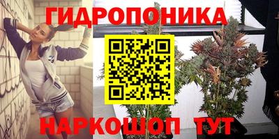 apvp Берёзовский