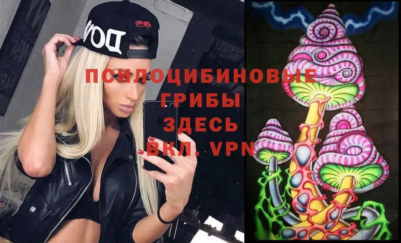 Галлюциногенные грибы Psilocybe  Грязи 