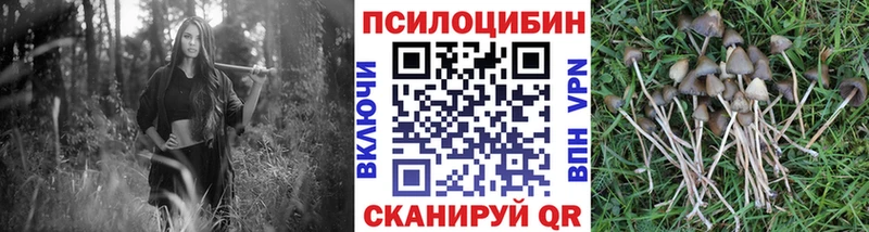 Галлюциногенные грибы GOLDEN TEACHER  Грязи 