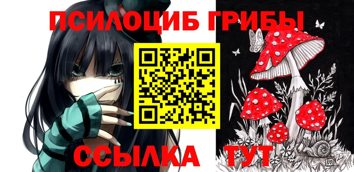 Псилоцибиновые грибы MAGIC MUSHROOMS  Вход с VPN  Псилоцибиновые грибы MAGIC MUSHROOMS  Грязи 