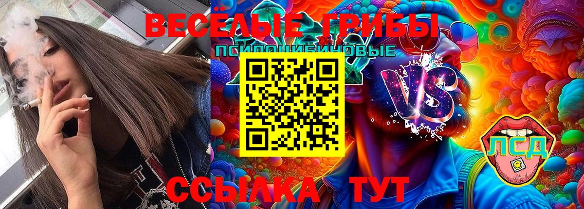 Псилоцибиновые грибы Cubensis Грязи