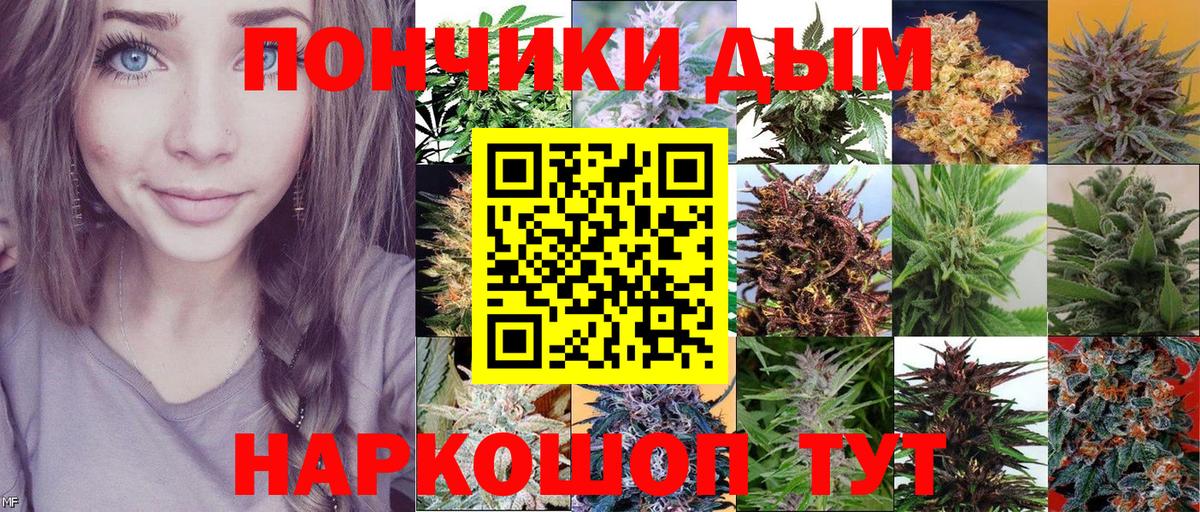 Бошки Шишки Bruce Banner  Вход с VPN  Грязи  Каннабис OG Kush  Шишки марихуана индика 